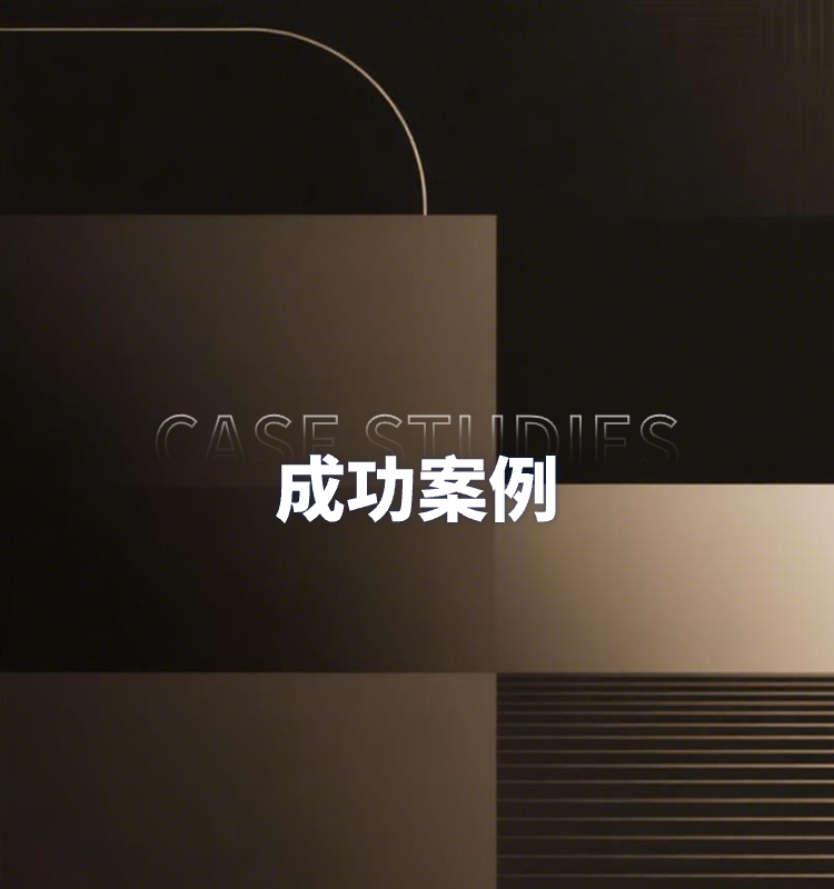 成功案例